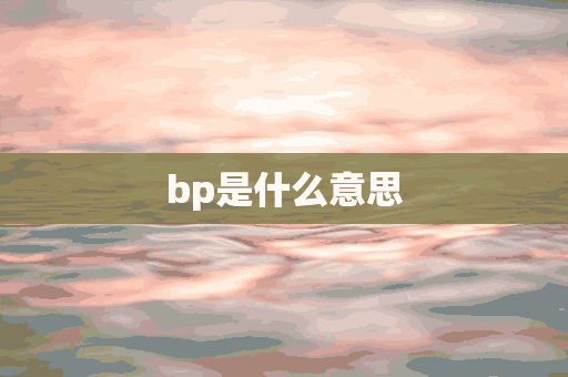 bp是什么意思(bp是什么意思医学上面)